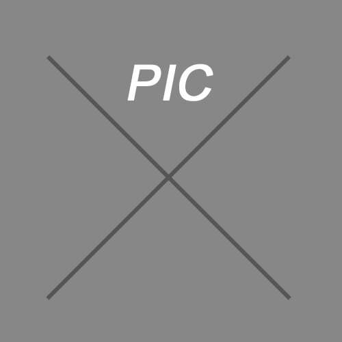 Blank Picture - Insert Image Here